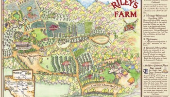 Riley’s Farm