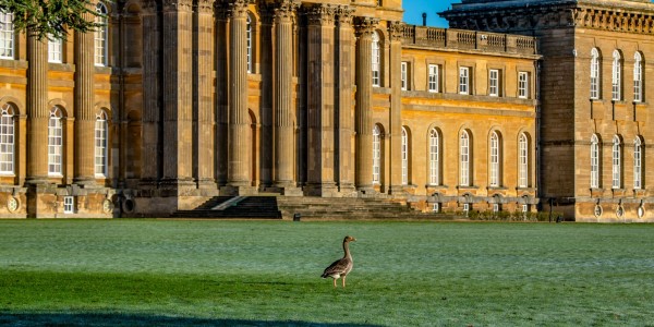 Blenheim Palace