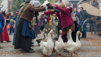 De Slag om Grolle