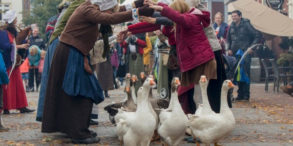 De Slag om Grolle