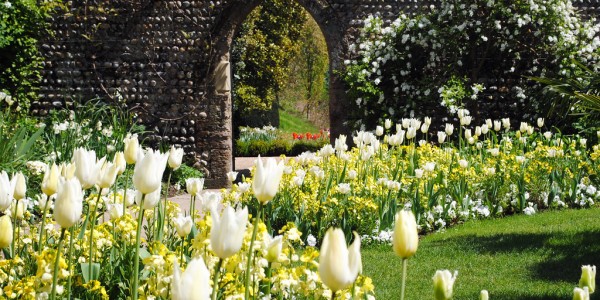 Arundel Castle and gardens