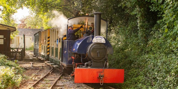 Amberley Museum